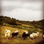 Отель типа 