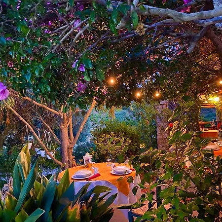 Oasi Muru Idda Bed & Breakfast 3*