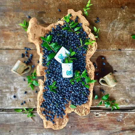 Oasi Muru Idda Отель типа 