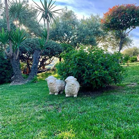 Oasi Muru Idda Budoni