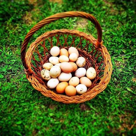 Bed & Breakfast Oasi Muru Idda