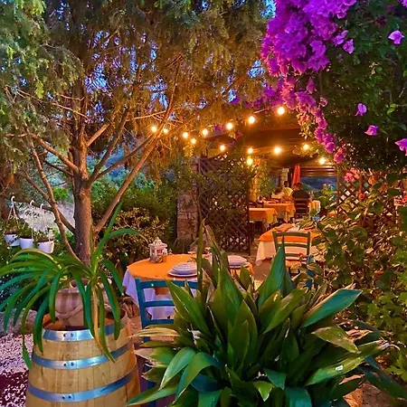 לינה וארוחת בוקר Oasi Muru Idda 3*