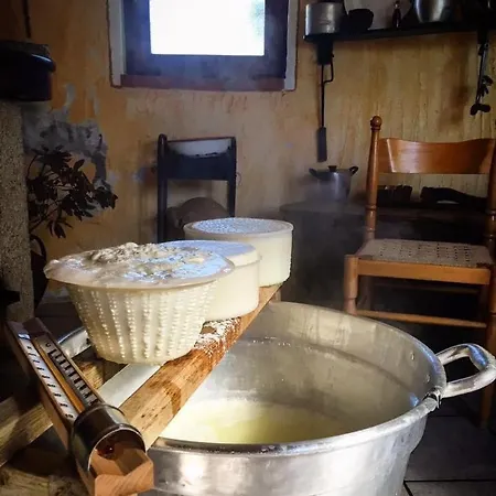 Bed & Breakfast Oasi Muru Idda 3*