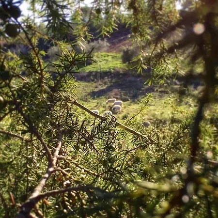 לינה וארוחת בוקר Oasi Muru Idda בודוני