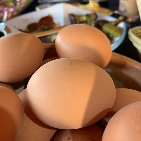 Bed & Breakfast Oasi Muru Idda 3*