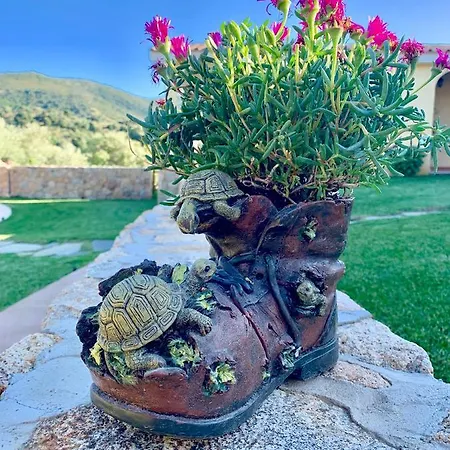 Oasi Muru Idda 3* בודוני