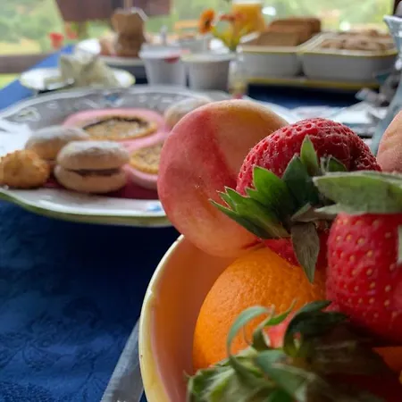 Oasi Muru Idda בודוני